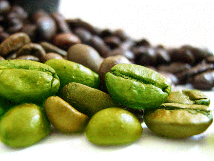 http://greencoffeeextract.com.au/wp-content/uploads/2013/04/Green-Coffee-Bean-Extract.png