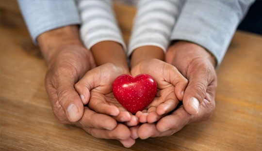 Peripheral atherosclerosis positively correlates with positive islet cell cytoplasmic antibody and long-term use of lipid-lowering medications in autoimmune diabetes