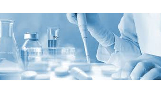 SGLT2 Inhibitor and GRA Combination in T1D: Improved Control and Safety