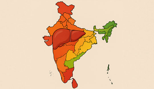 Uncovering India's Liver