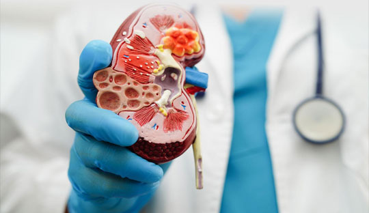 Empagliflozin promises long-term cardiorenal benefits in CKD